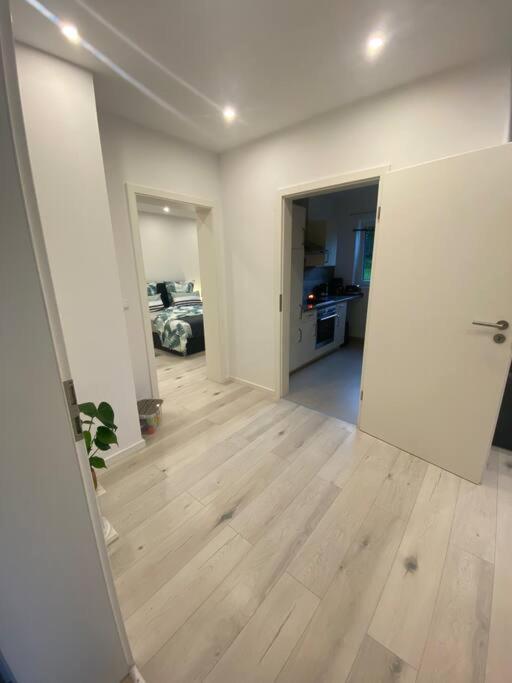 Ferienwohnung Vulkaneifel Stadtkyll Dış mekan fotoğraf